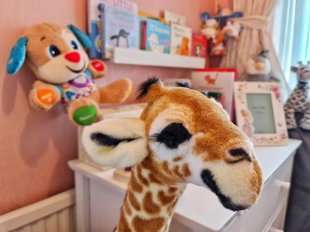 3 bedroom Semi-detached house for sale in Conway Road, Sale Moor, Sale, M33