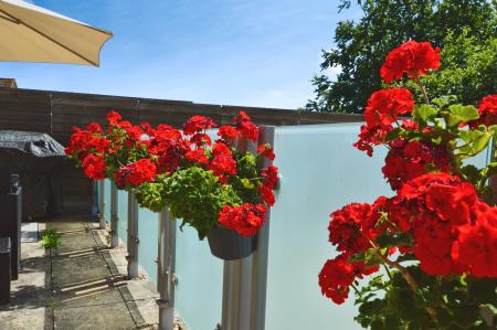 2 bedroom Flat for sale in Hatfield Road, St Albans, AL1