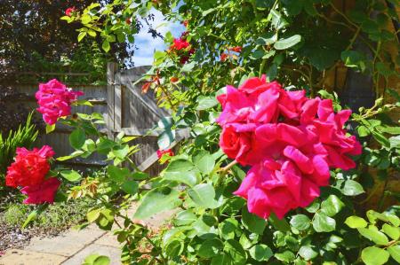 3 bedroom Detached house to let in Roestock Lane, Colney Heath, AL4