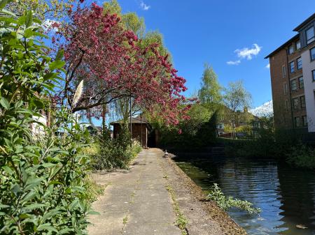 1 bedroom Flat to let in Cocoa Suites, Navigation Road