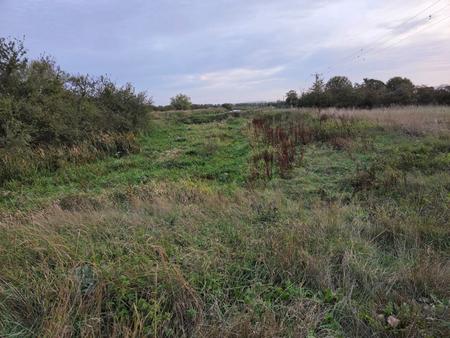 0 bedroom Farm Land for sale in Lot A Lot B Land, Langport, Bristol, TA10