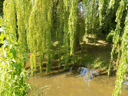 3 bedroom Detached house for sale in Wyggeston Road, Bottesford, Nottingham