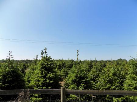 3 bedroom Detached house for sale in Grantham Road, Whatton