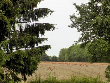 4 bedroom Detached house for sale in Inholms Gardens, Flintham