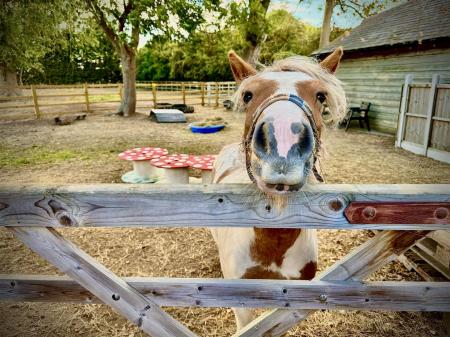 4 bedroom Barn Conversion for sale in Grantham Road, Aslockton
