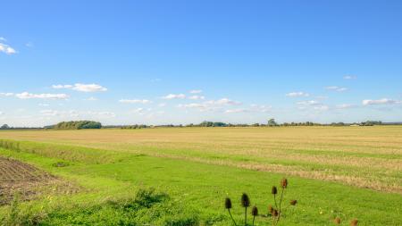 6 bedroom Detached house for sale in Westhouses, Sibsey, Boston, PE22