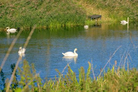 2 bedroom Detached bungalow for sale in Willoughby Road, Boston, PE21