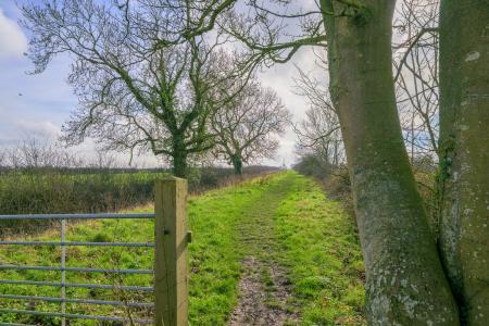 5 bedroom Detached house for sale in West Fen Drainside, Stickney, Boston, PE22