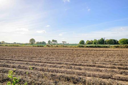 4 bedroom Detached bungalow for sale in Willington Road, Kirton End, PE20