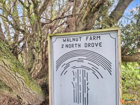 3 bedroom Detached house for sale in North Drove, Twenty, Bourne, PE10