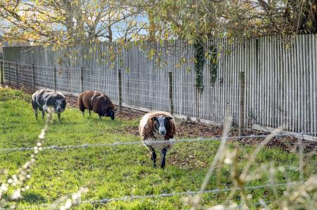5 bedroom Detached house for sale in High Street, Thurlby, PE10