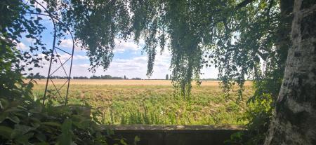 2 bedroom Terraced House for sale in Bourne Road, Pode Hole, PE11