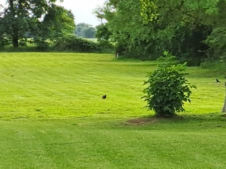 4 bedroom Bungalow for sale in Brigg Road, Moortown, LN7