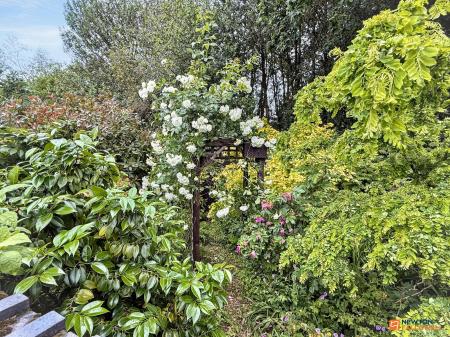 3 bedroom Semi-detached house for sale in Dunbar Road, Coalville, LE67