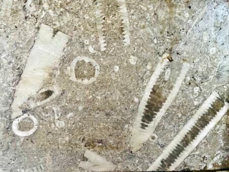 4 bedroom Town house for sale in 4 Barrowby Road, Grantham, NG31