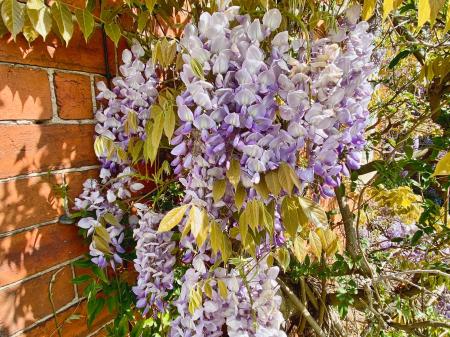 4 bedroom Town house for sale in 4 Barrowby Road, Grantham, NG31