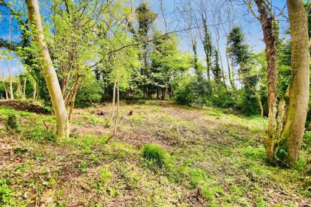 3 bedroom Detached house for sale in Dunstall Avenue, Leicester, LE3