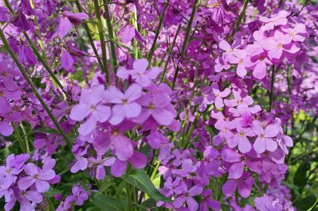 3 bedroom Semi-detached house for sale in Dunstall Avenue, Leicester, LE3