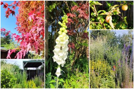 3 bedroom Semi-detached house for sale in Acres Road, Leicester Forest East, LE3 3HA