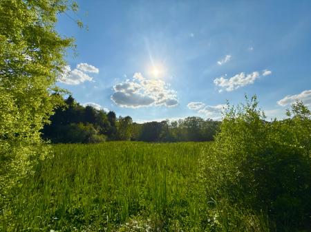3 bedroom Detached house for sale in Landmere Grove, Lincoln, LN6