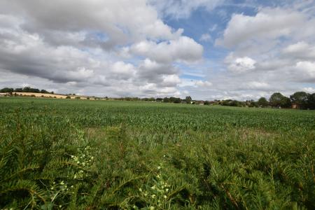 3 bedroom Semi-detached house for sale in Moor Lane, Normanton On Soar, LE12