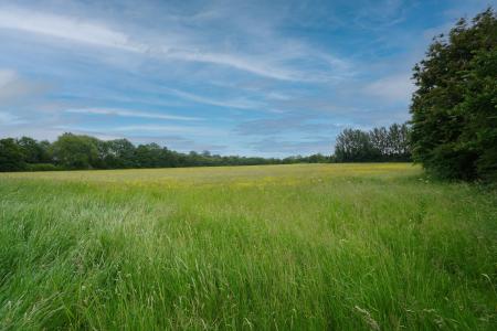 7 bedroom Detached house for sale in Main Street, Long Whatton, LE12