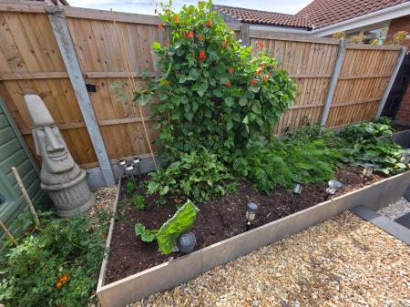 2 bedroom Semi-detached bungalow for sale in Sycamore Close, Rainworth, NG21