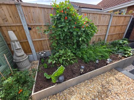 2 bedroom Semi-detached bungalow for sale in Sycamore Close, Rainworth, NG21