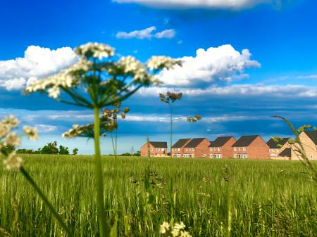 4 bedroom Detached house for sale in Streton Gardens, Deeping St. James, PE6