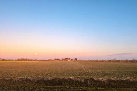 4 bedroom Detached house for sale in Streton Gardens, Deeping St. James, PE6