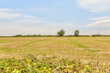 4 bedroom Bungalow for sale in Debdale, Cottesmore