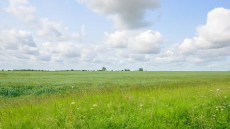 3 bedroom Detached bungalow for sale in Cul De Sac, Stickford, PE22