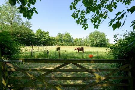 5 bedroom Detached house for sale in Church Lane, Hagworthingham, PE23