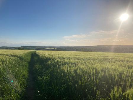 2 bedroom Cottage for sale in High Street, Easton On The Hill, Stamford, PE9