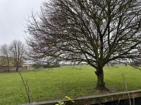 4 bedroom Semi-detached house for sale in Roman Bank, Stamford