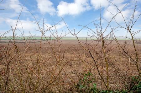 3 bedroom Semi-detached house for sale in Masterton Road, Stamford