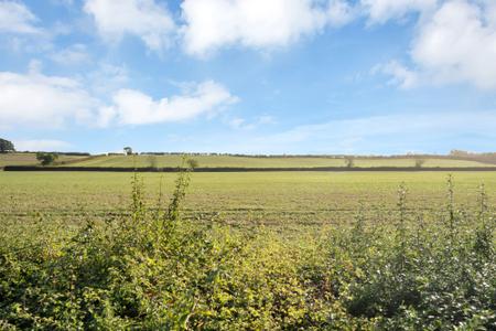 4 bedroom Detached house for sale in Big Green, Warmington, PE8