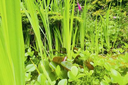 4 bedroom Semi-detached house for sale in Humberstone Lane, Thurmaston, LE4