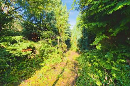 3 bedroom Semi-detached house for sale in Melton Road, Syston, LE7