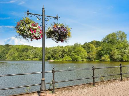 3 bedroom Detached bungalow for sale in Grasmere Close, Priorslee, TF2
