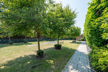 5 bedroom Bungalow for sale in Goose Lane, Wickersley, Rotherham, S66