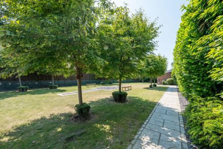 5 bedroom Detached bungalow for sale in Goose Lane, Wickersley, S66