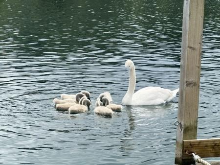 2 bedroom Park home for sale in Heron Lakes, Beverly, HU17