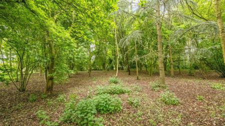 4 bedroom Detached bungalow for sale in Summer Gates Lane, Bratoft, Skegness, PE24