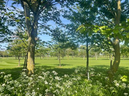 2 bedroom Semi-detached house to let in Old Roman Bank, Skegness, PE25