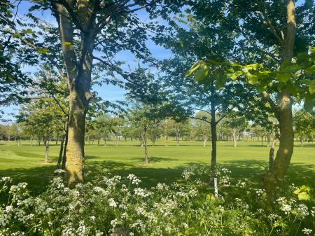 2 bedroom Semi-detached house to let in Roman Bank, Skegness, PE25