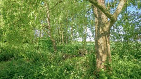 4 bedroom Detached house for sale in Sea Road, Anderby, PE24