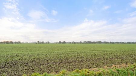 5 bedroom Detached house for sale in Youngers Lane, Burgh Le Marsh, PE24