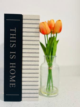 1 bedroom Studio flat to let in The Wheelhouse