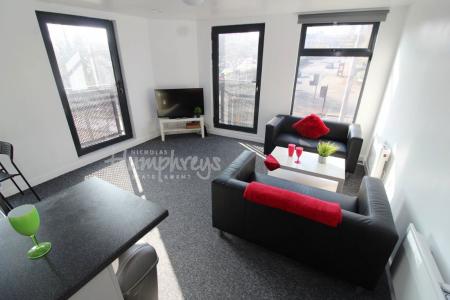 1 bedroom Property to let in Infirmary Road, S6